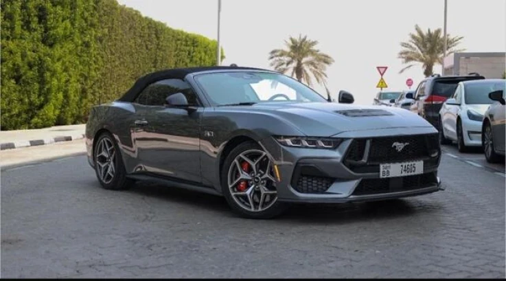 فورد موستنغ GT كشف ٢٠٢٤ - undefined